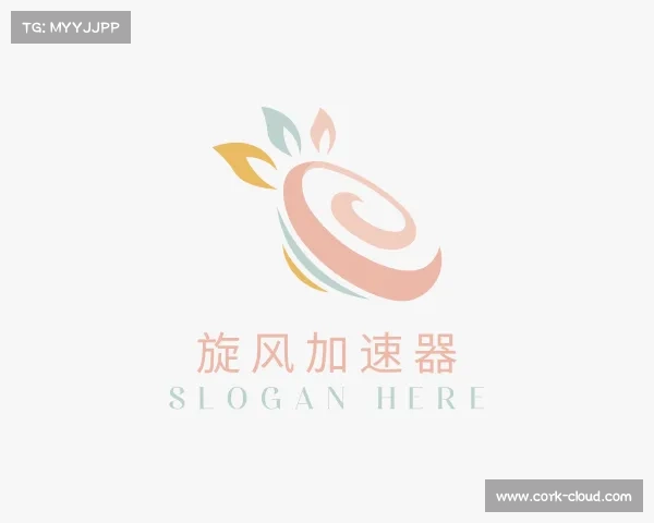 认识旋风加速器